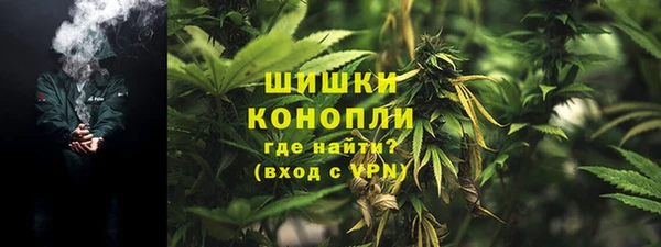 молекула духа Волосово