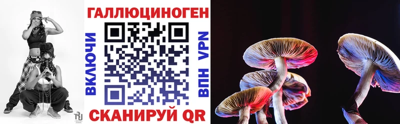 Галлюциногенные грибы GOLDEN TEACHER  Лобня 
